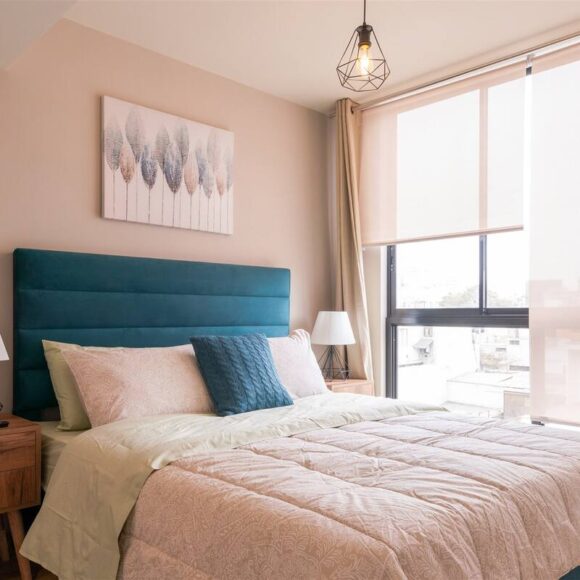 Singular apartment bedroom with queen bed